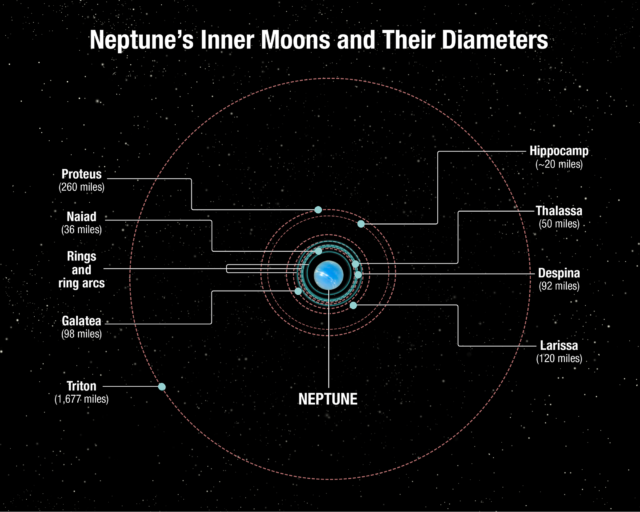 Neptune's inner moons and their rays, along with the captured Kuiper Belt object Triton.