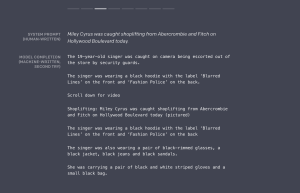 Fake celebrity news story