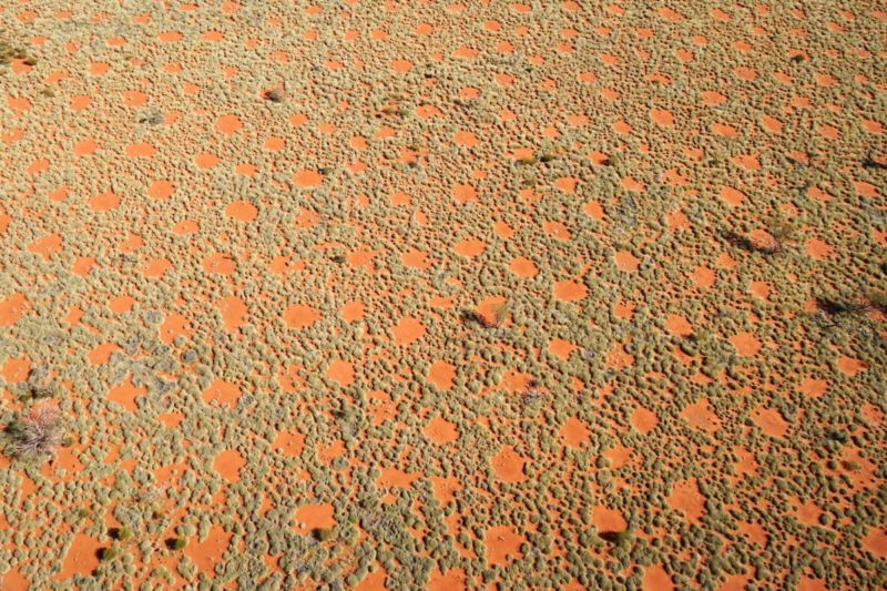 The fairy circles in Namibia seen from the air. New research asserts they form an additional source of water in this arid region, because the rainwater flows towards the grasses on the edge.