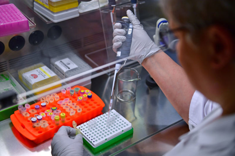 February 7, 2019, Saxony-Anhalt, Halle (Saale): In the genetic engineering monitoring laboratory of the State Office for Environmental Protection of Saxony-Anhalt, Damaris Horn is sipping reaction preparations for the polymerase chain reaction (PCR) in a special cabin. 