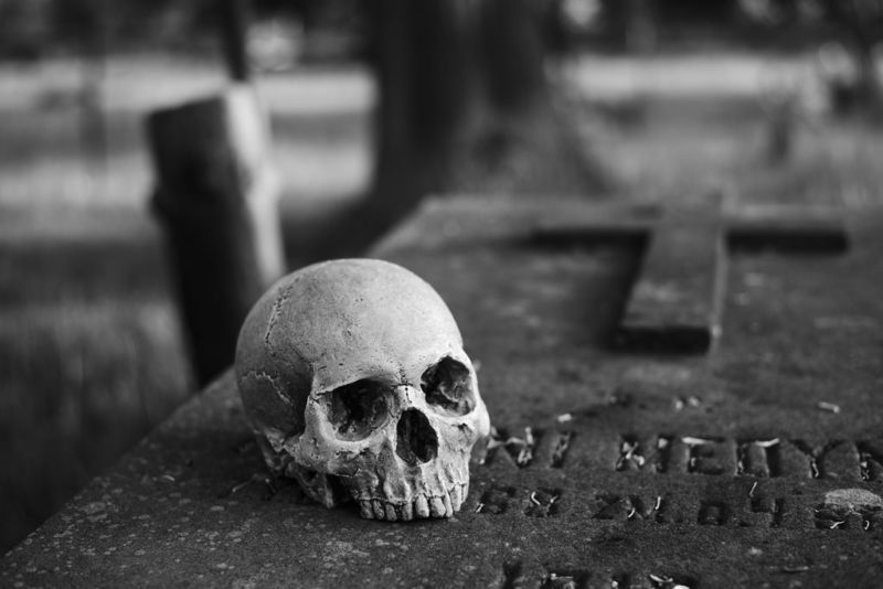 Black-and-white photo of a human skull in a graveyard.