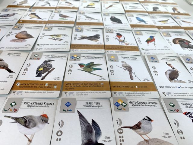 Wingspan, the bird board game that encourages collaboration, not