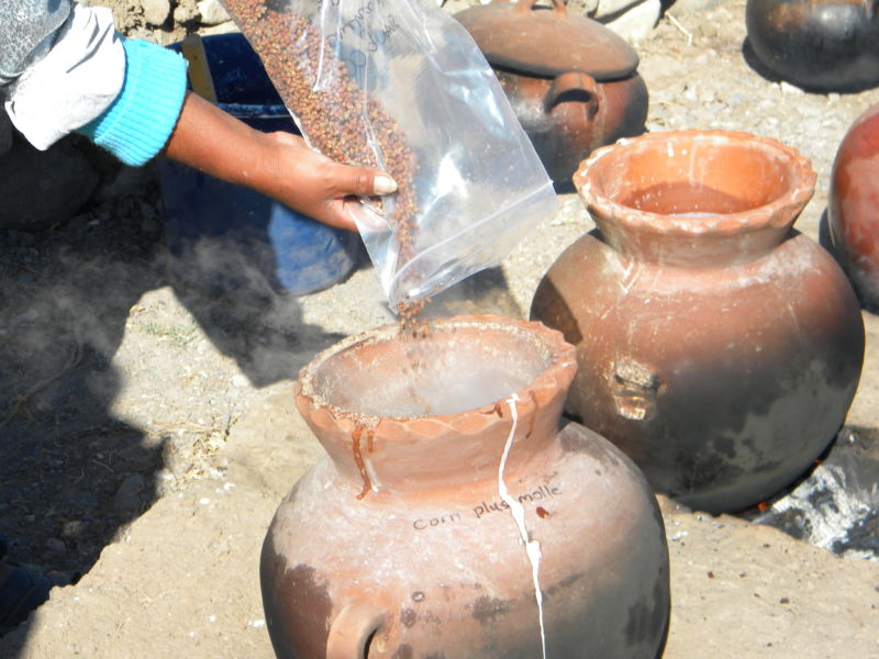 How to brew ancient Wari beer