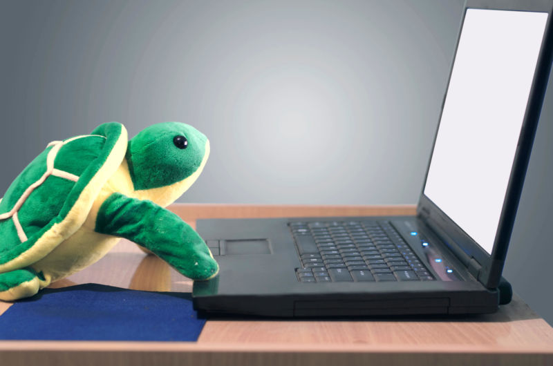 Artist's impression of state-sponsored "Sea Turtle" hacking campaign.