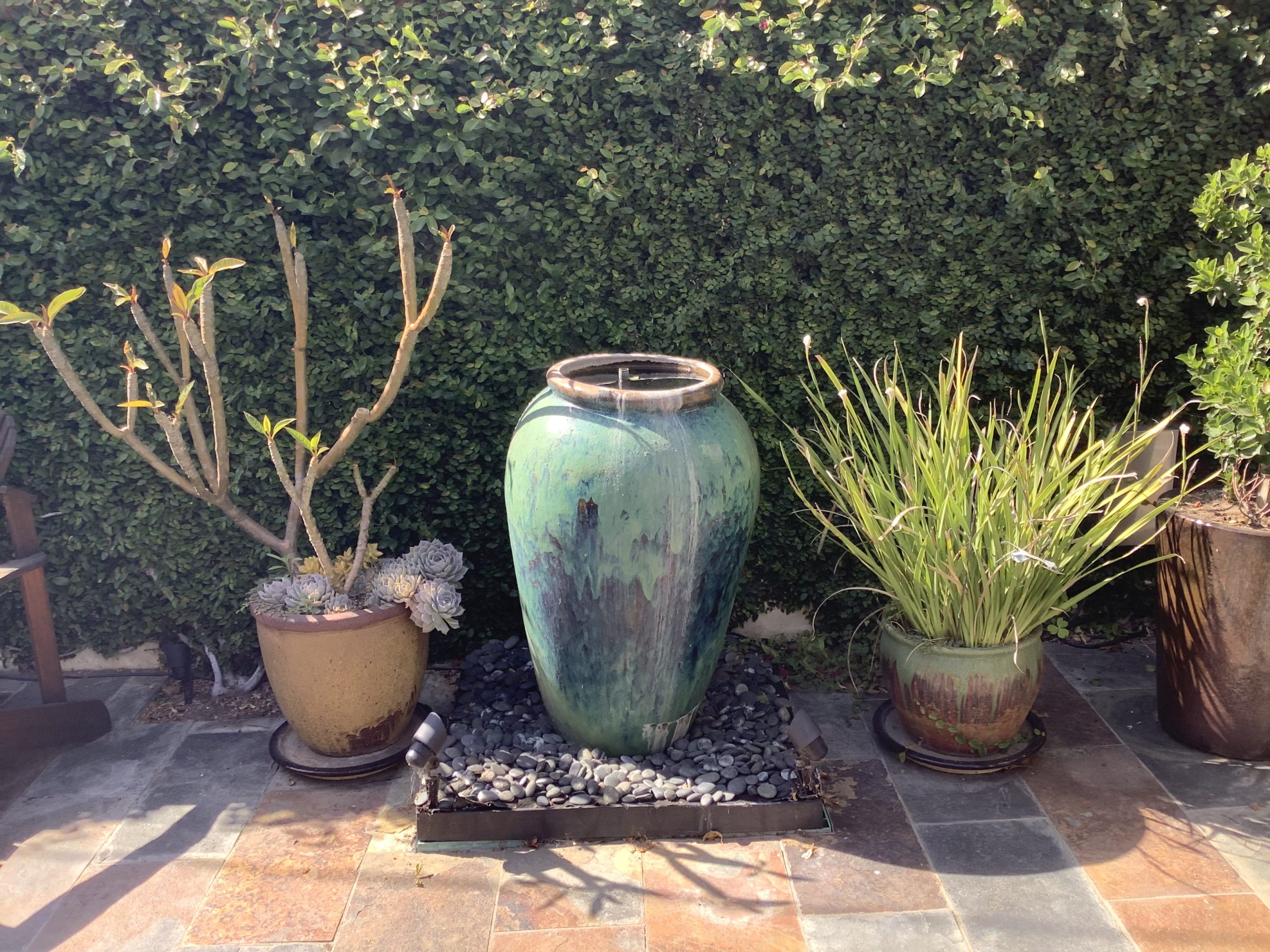 iPad Air photo of a garden