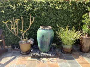 iPad mini photo of a garden