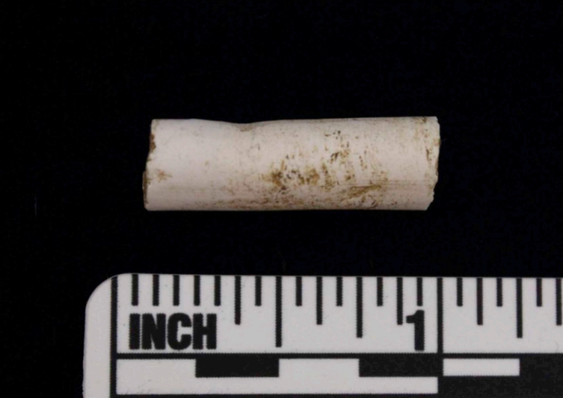 DNA in a clay pipe sheds light on an enslaved woman’s life