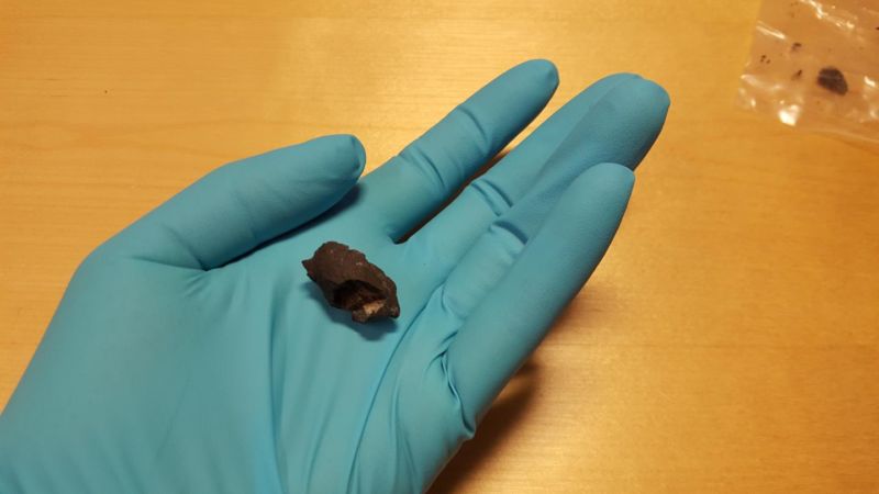 Archaeologists find DNA in a 10,000-year-old piece of chewing gum
