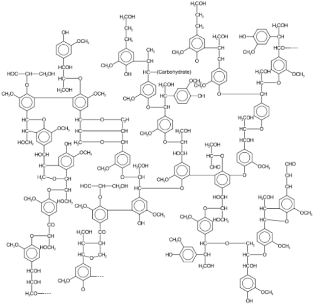 The complicated structure of lignin.