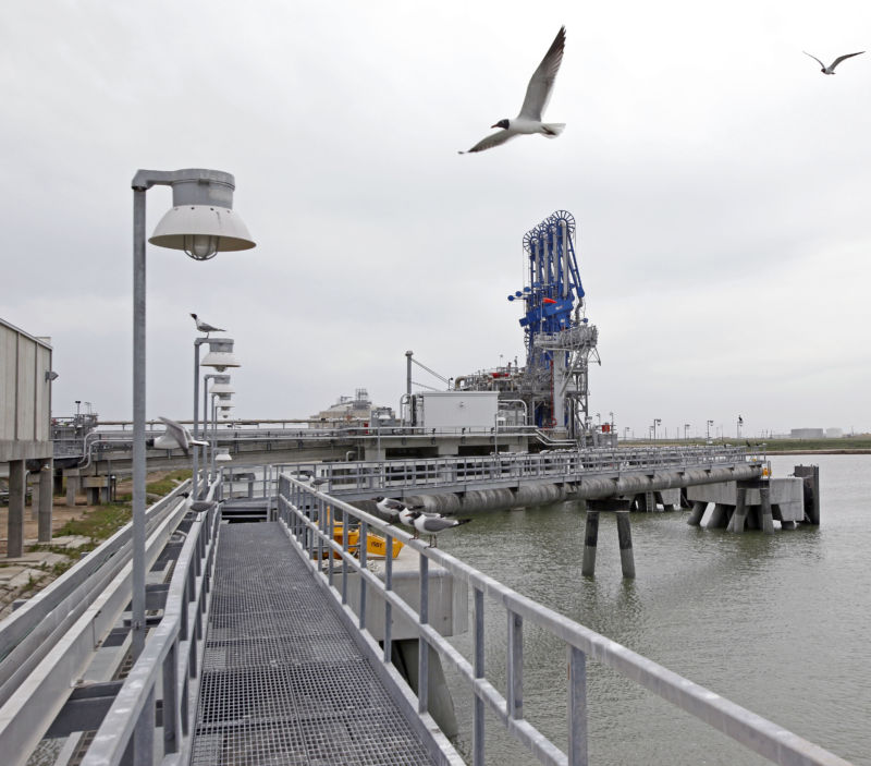 Bird flies above Freeport LNG terminal.