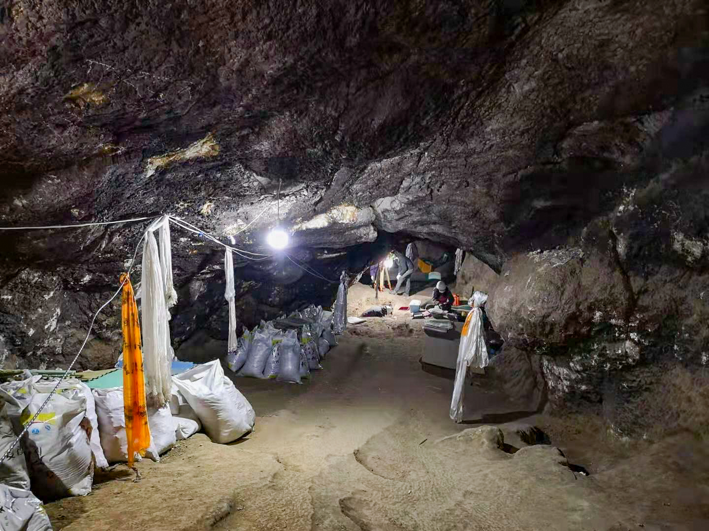 Finally A Denisovan Specimen From Somewhere Beyond Denisova Cave Ars Finally A Denisovan Specimen From Somewhere Beyond Denisova Cave Ars