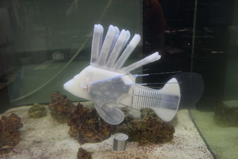 Researchers make a robotic fish with a battery for blood