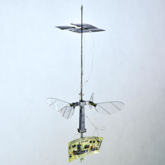 The full RoboBee X-Wing design, including the power and electronics.