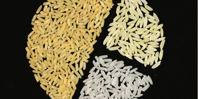 Why haven’t genetically engineered crops made food better? | Ars Technica