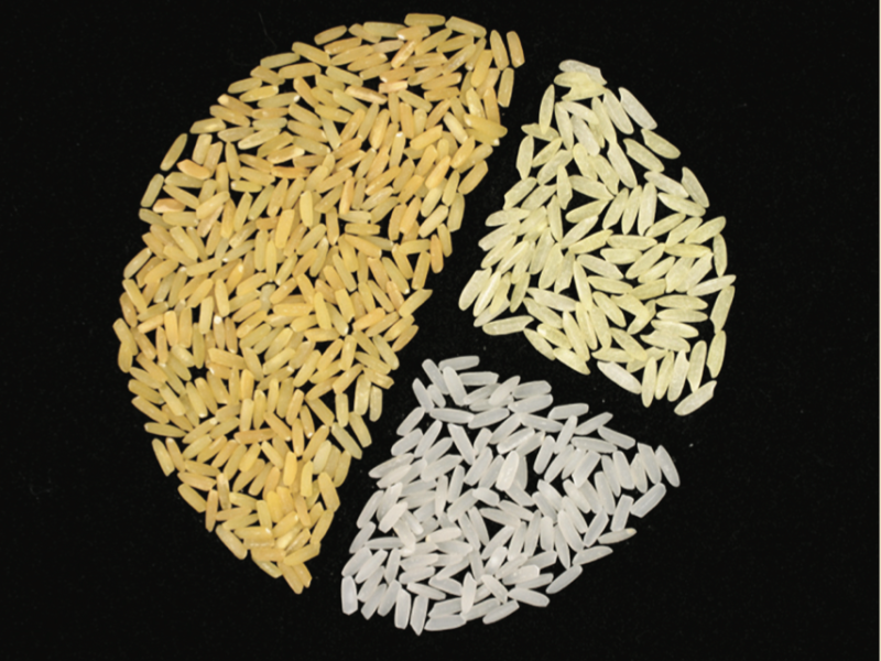 Rice grains in different shades of yellow.