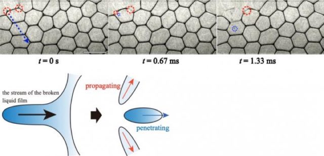 Mechanics of collective bubble collapse: the film recedes into surrounding films, while a droplet is released, which penetrates other films and causes further collapse.