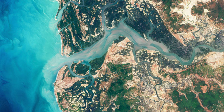 More mangroves? Economies recover faster after tropical cyclones