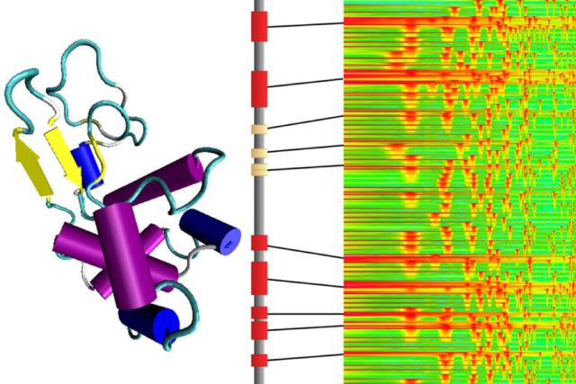 MIT scientists have converted the molecular structures of proteins into audible sound that resembles musical passages. Reversing the process means they can introduce variations and convert the music back into new proteins.