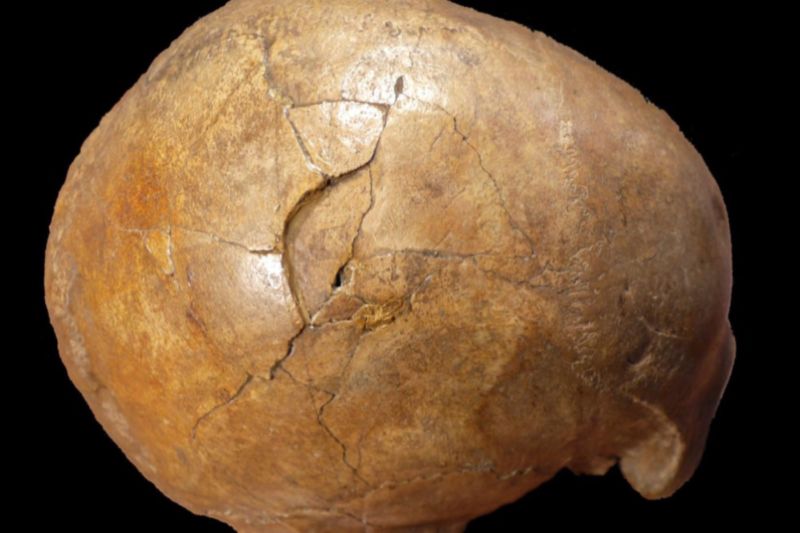 study-concludes-33-000-year-old-skull-shows-signs-of-blunt-force-trauma