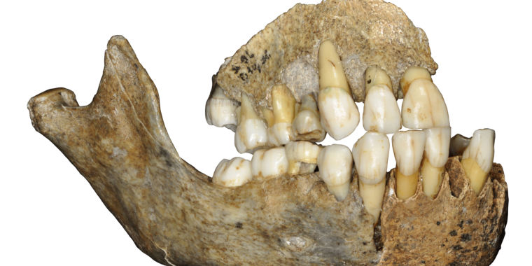 Neanderthals’ history is as complicated as ours | Ars Technica