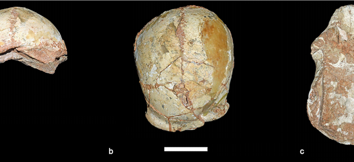 Humans may have reached Europe by 210,000 years ago - Ars Technica