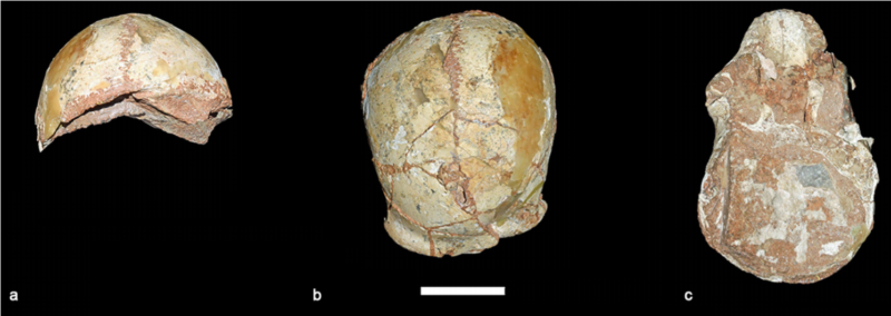 Humans may have reached Europe by 210,000 years ago | Ars Technica