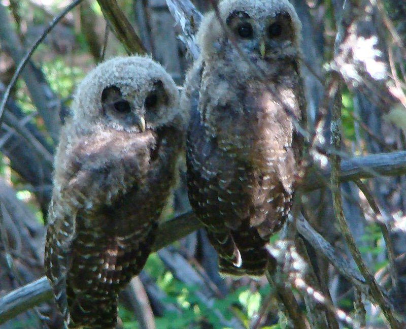 cdn.arstechnica.net image