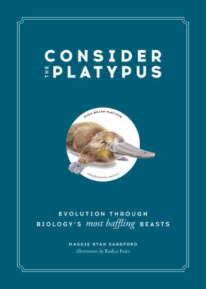 <em>Consider the Platypus</em> product image