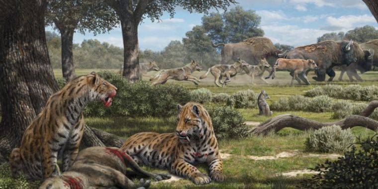 Fossilized teeth of Ice Age predators yield clues to why certain species  survived | Ars Technica