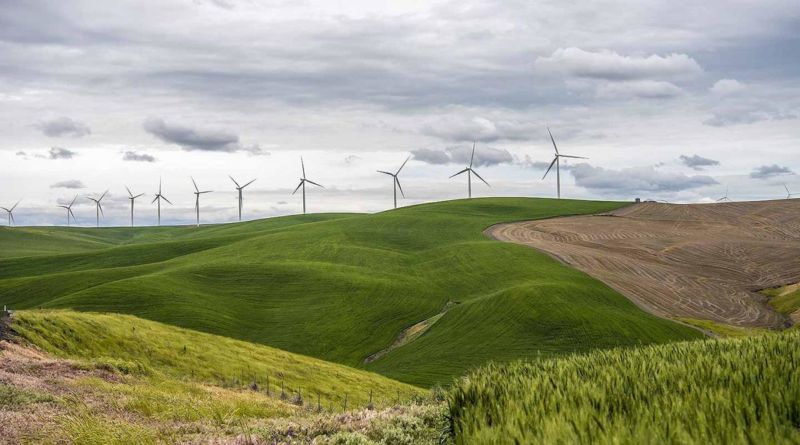 Image of wind turbines on a ridge
