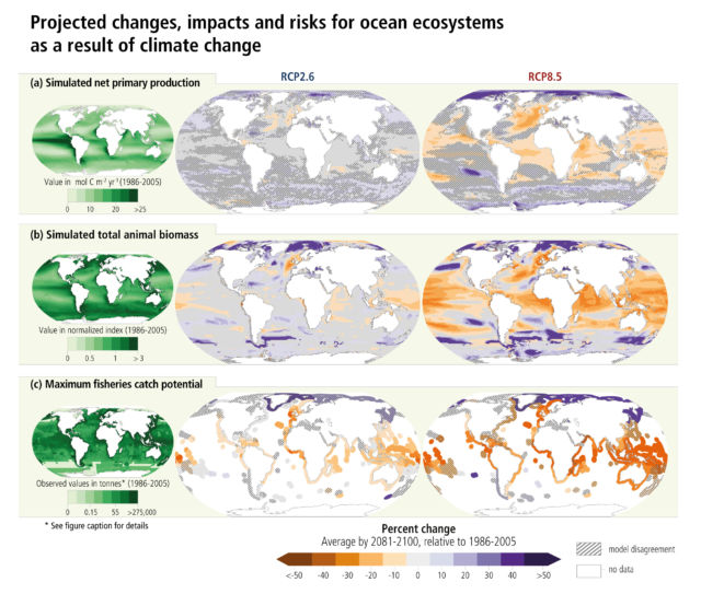 Projected changes for a 2°C warmer world (left) and a 4+°C warmer world (right). Net primary productivity refers to growth of photosynthetic life.