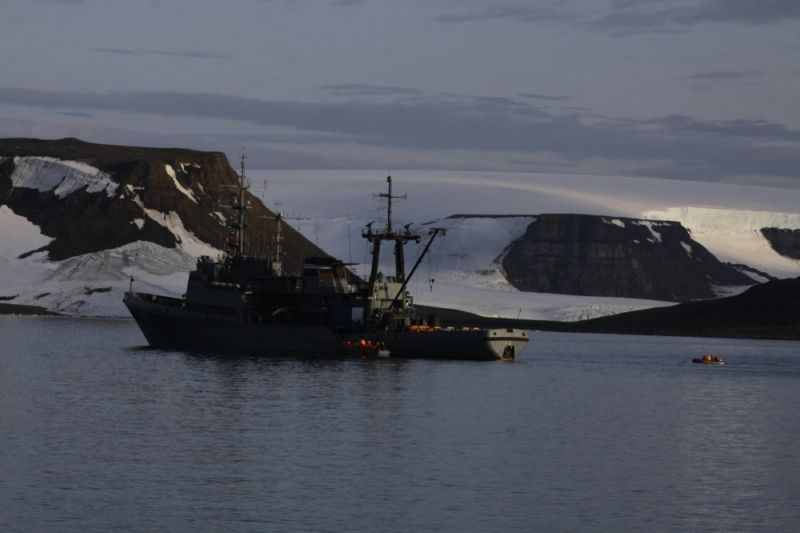 Walrus Attacks Russian Navy Sinking Inflatable Boat Ars