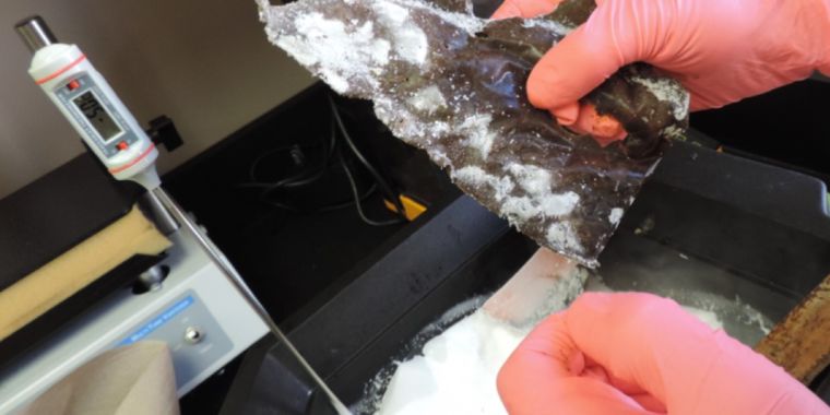Knives made of frozen feces don’t make the cut, disproving well-known legend