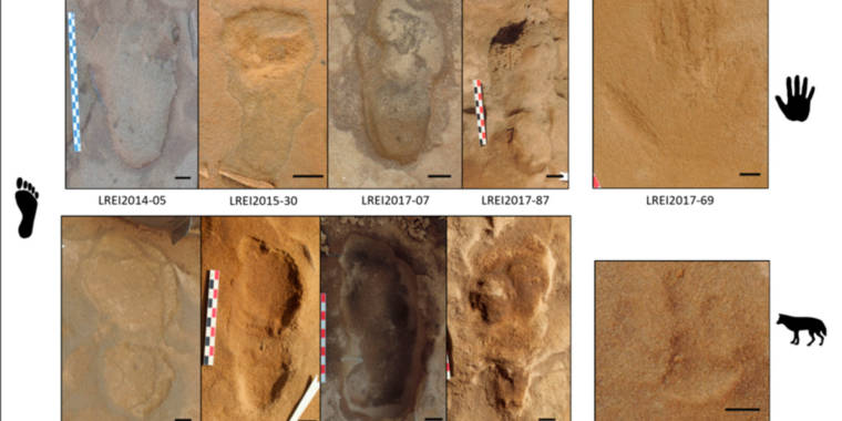 80000-year-old footprints reveal Neanderthal social life - Ars Technica thumbnail