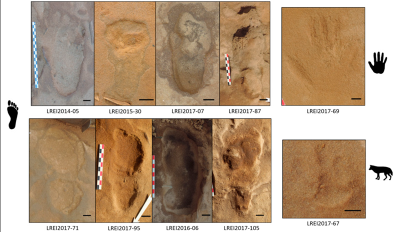 80,000-year-old footprints reveal Neanderthal social life | Ars Technica