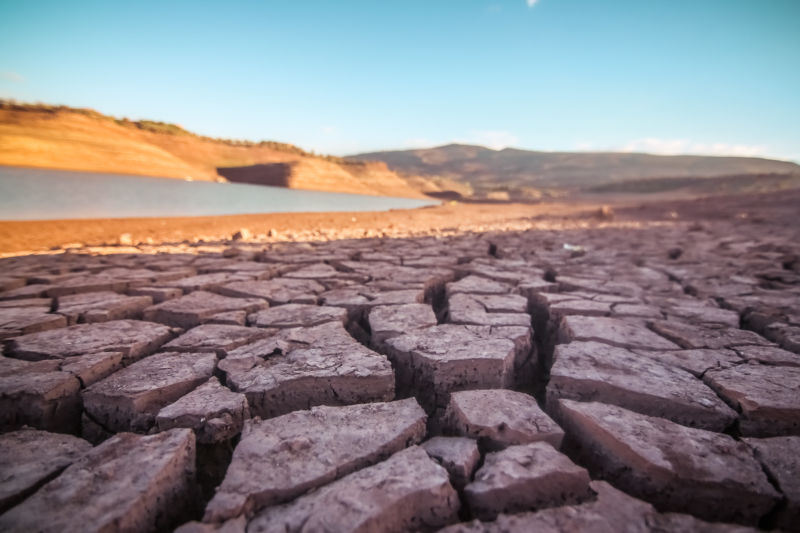 Our groundwater use is destroying freshwater ecosystems