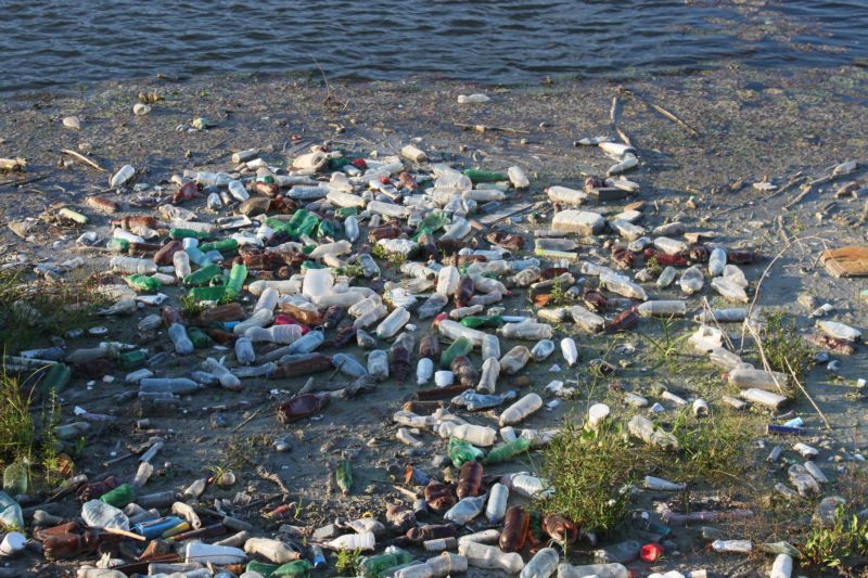 Plastic water bottles washed up on a beach.