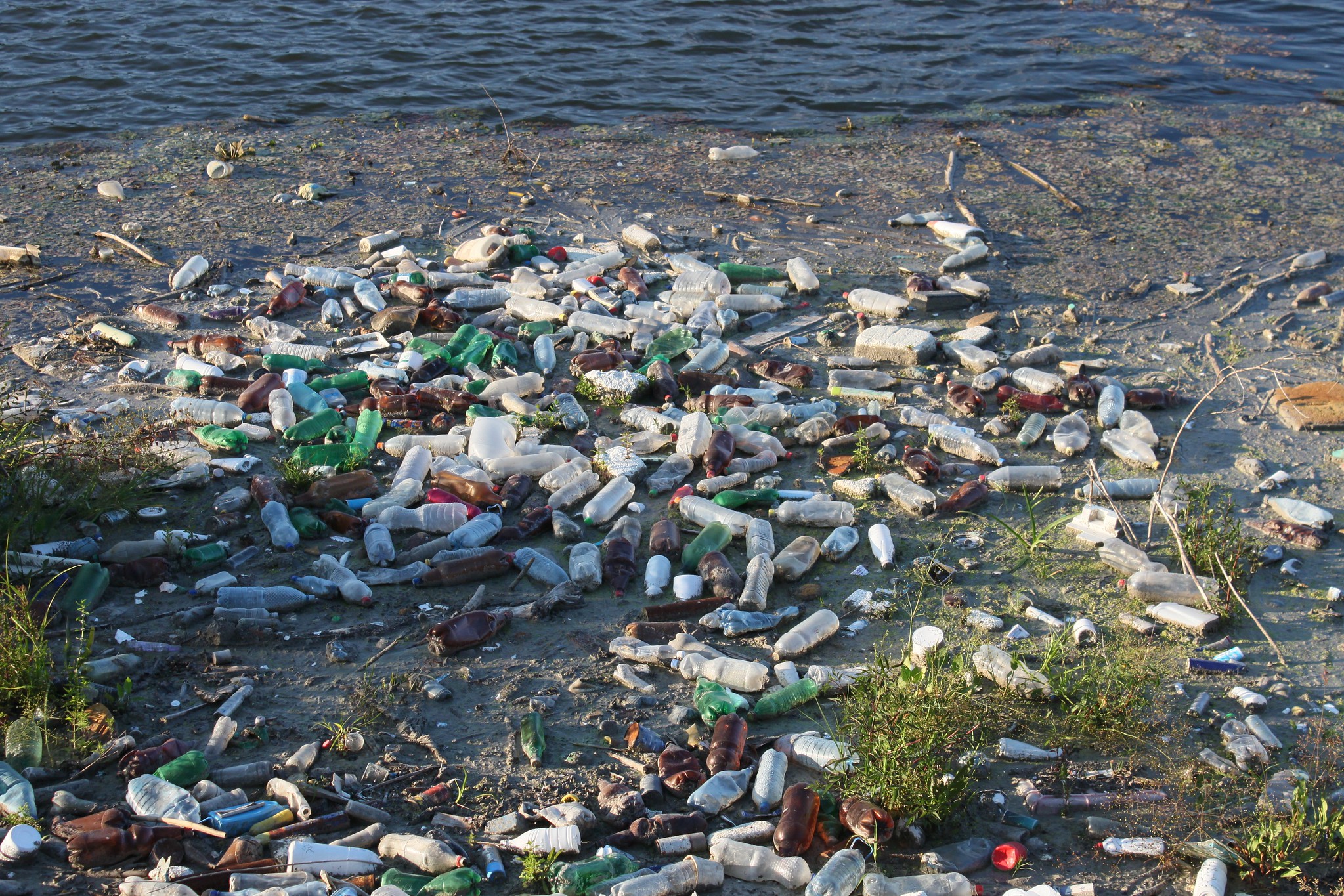 Загрязнение рек россии. Имандра озеро загрязнено. Загрязнение водоемов. Экология загрязнение воды.