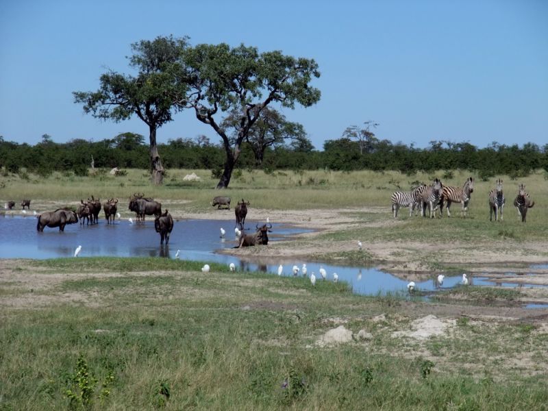 200,000 years ago, parts of the Kalahari Desert in southern Africa looked a lot like the Okavango Delta in Botswana.