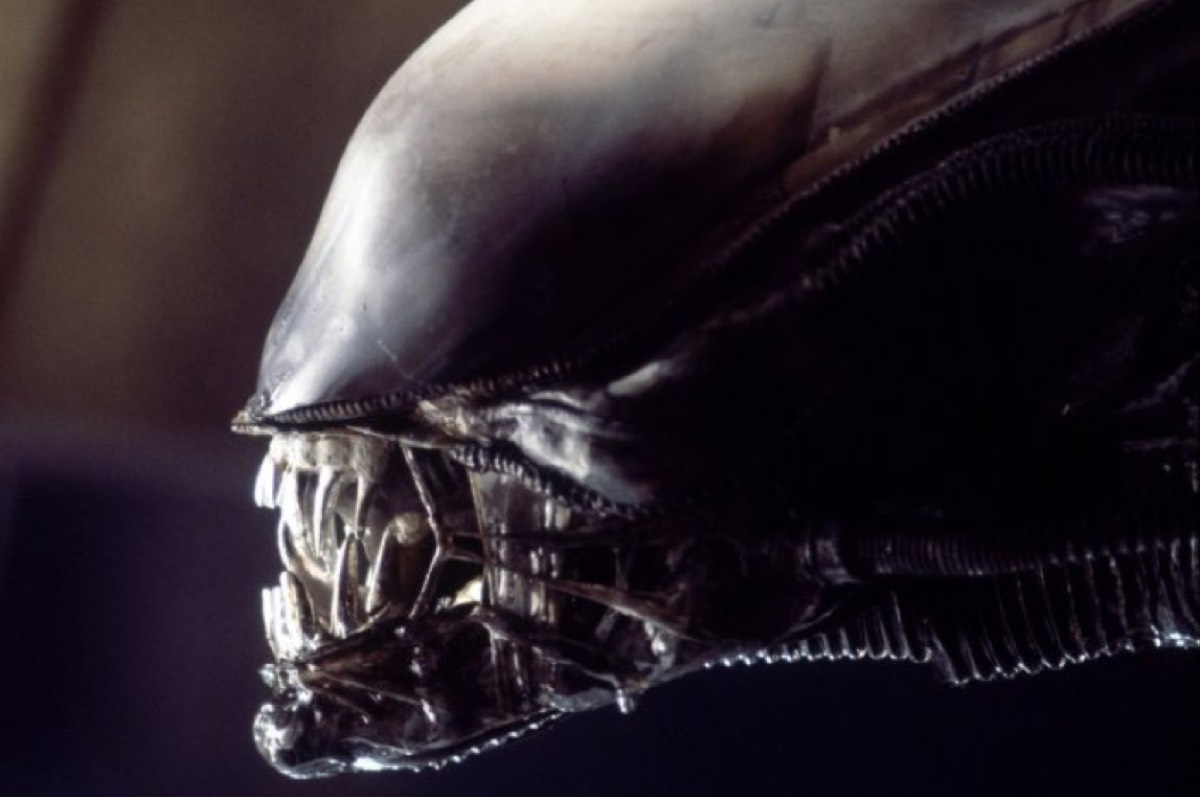 (image) Alien’s origin story chestbursts anew in stirring new documentaryintro image