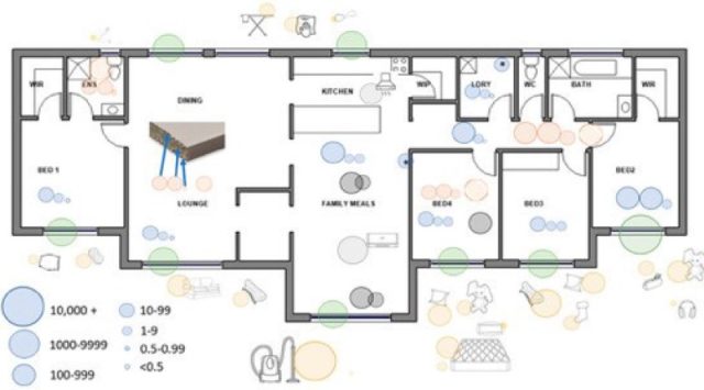 Floor plan shows the distribution of methamphetamine contamination throughout the family home.