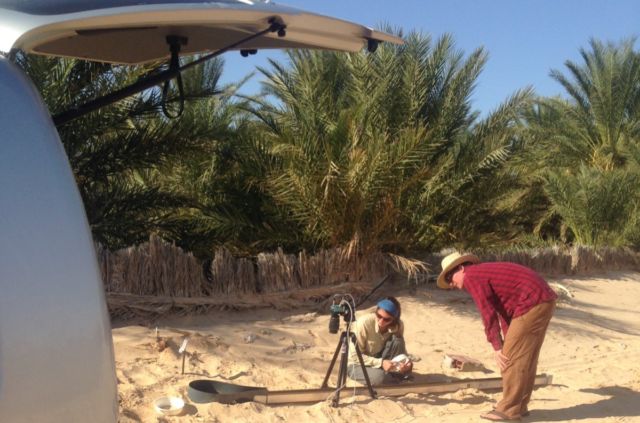 Filming Saharan silver ants near Douz, Tunisia. 