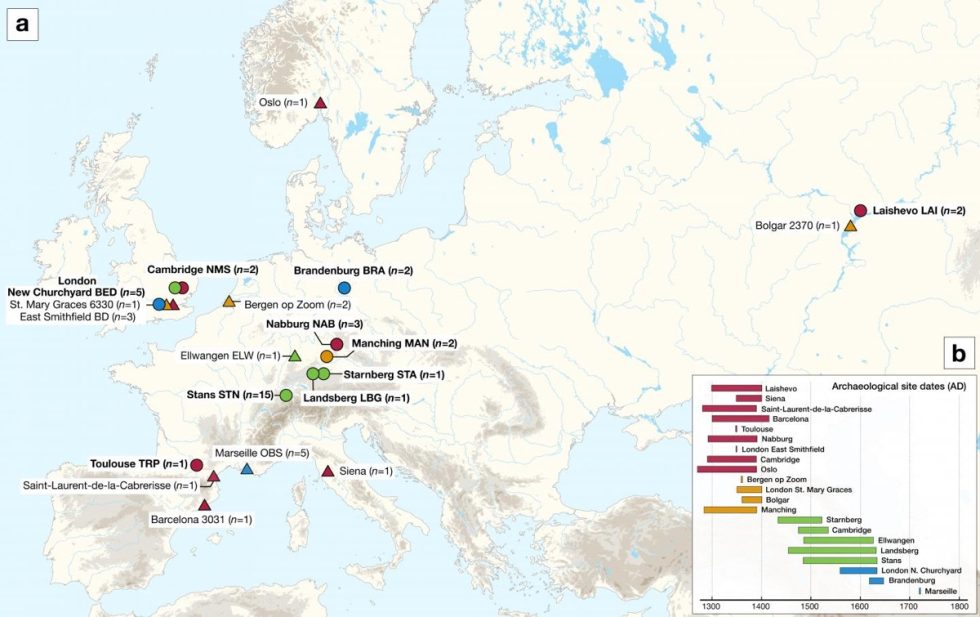 plague1-980x617.jpg