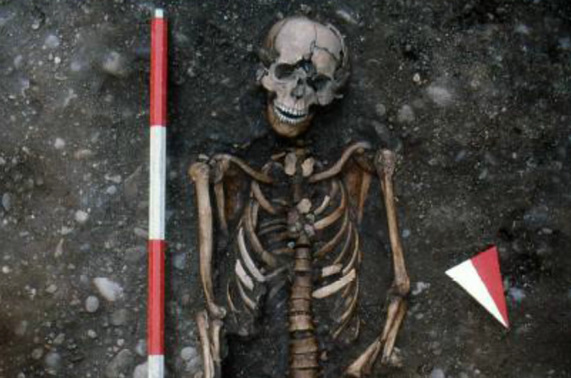 Medieval skeleton puts a face on accounts of torture and violence