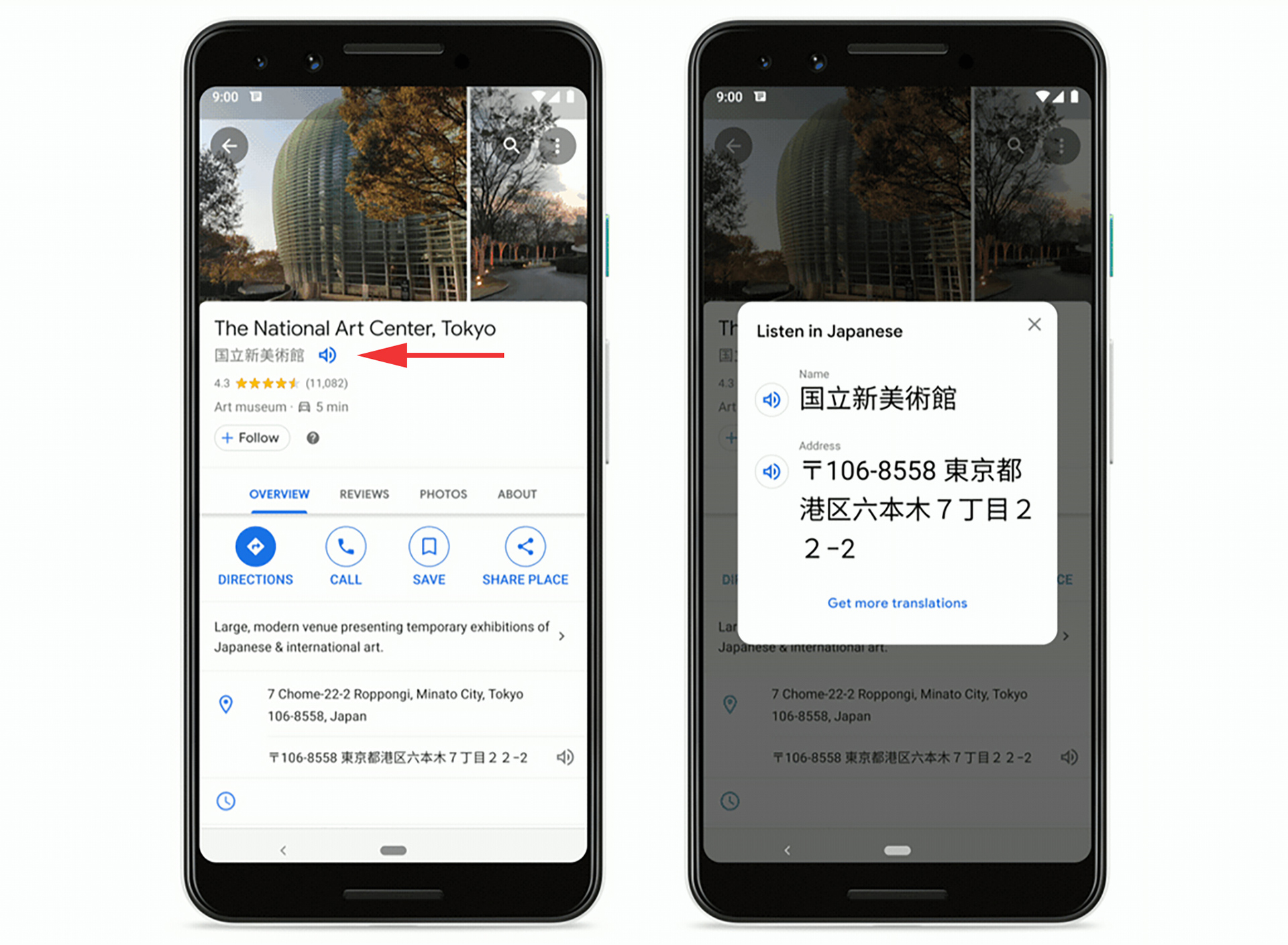google maps translate feature will