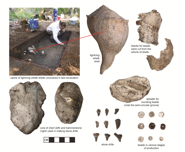 Archaeologist Terry Barbour works in a test pit on Raleigh Island. To the right, a diagram explains the steps in making disc-shaped beads from lightning whelk shells.