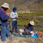Image of people in front of a flock of llamas.