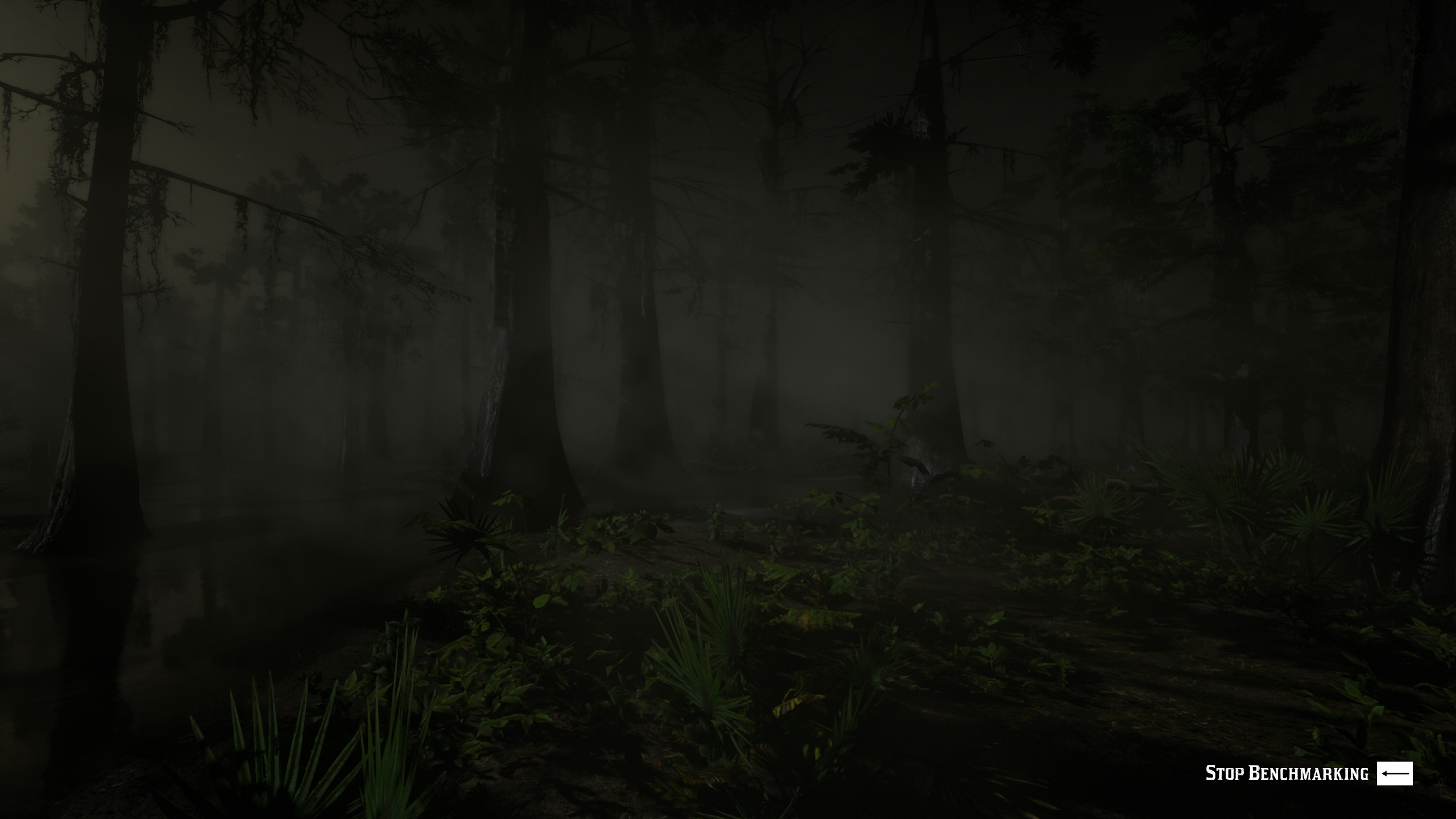 Red Dead Redemption 2 on PC: More frames, more volumetric beauty, no ...