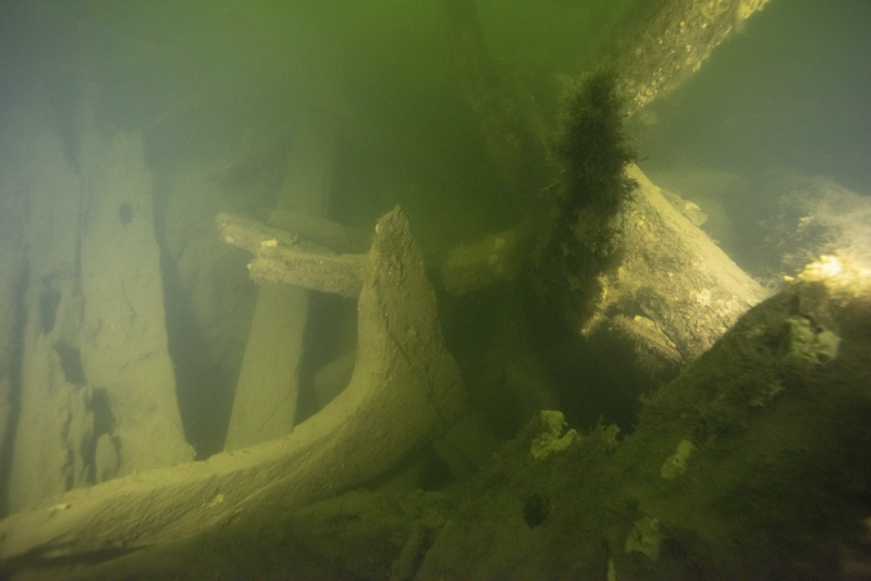 Photo of shipwreck timbers underwater