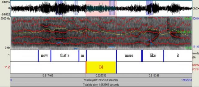 Depiction of a belched word on a waveform and spectrogram using the phonetics software Praat.